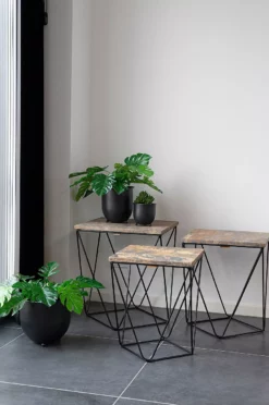 Blomsterpotter Nova -Hjemmedekorasjon Salg 2024 b 1015