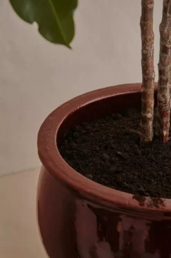 Gulvpotte Agnes Høyde 43 Cm -Hjemmedekorasjon Salg 2024 b 1052