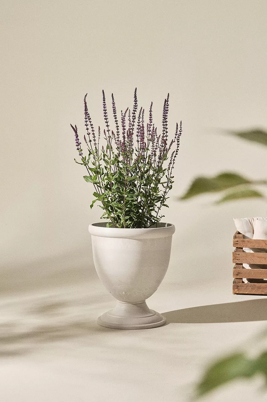 ALICIA Urna ø 38 Cm 5 ALICIA Urna ø 38 Cm - Bilde 3