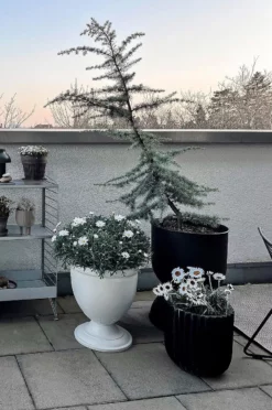 ALICIA Urna ø 38 Cm 13 ALICIA Urna ø 38 Cm -Hjemmedekorasjon Salg 2024 b 1140