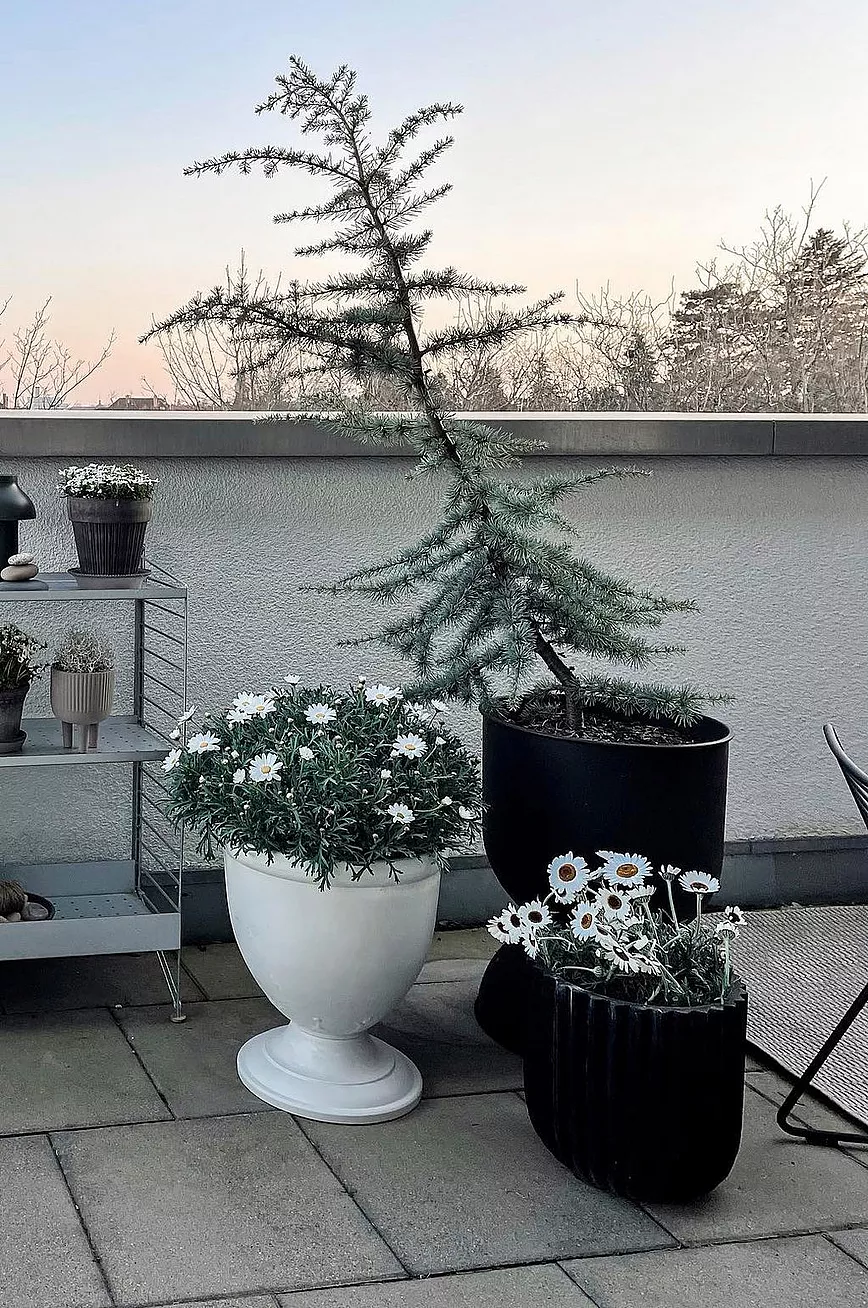 ALICIA Urna ø 38 Cm 6 ALICIA Urna ø 38 Cm - Bilde 4