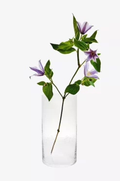 Spring Copenhagen Vase Laine 25 Cm 12 Spring Copenhagen Vase Laine 25 Cm -Hjemmedekorasjon Salg 2024 b 1187