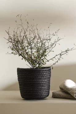 Kurvpotte Svart 14,5 Cm -Hjemmedekorasjon Salg 2024 b 1413