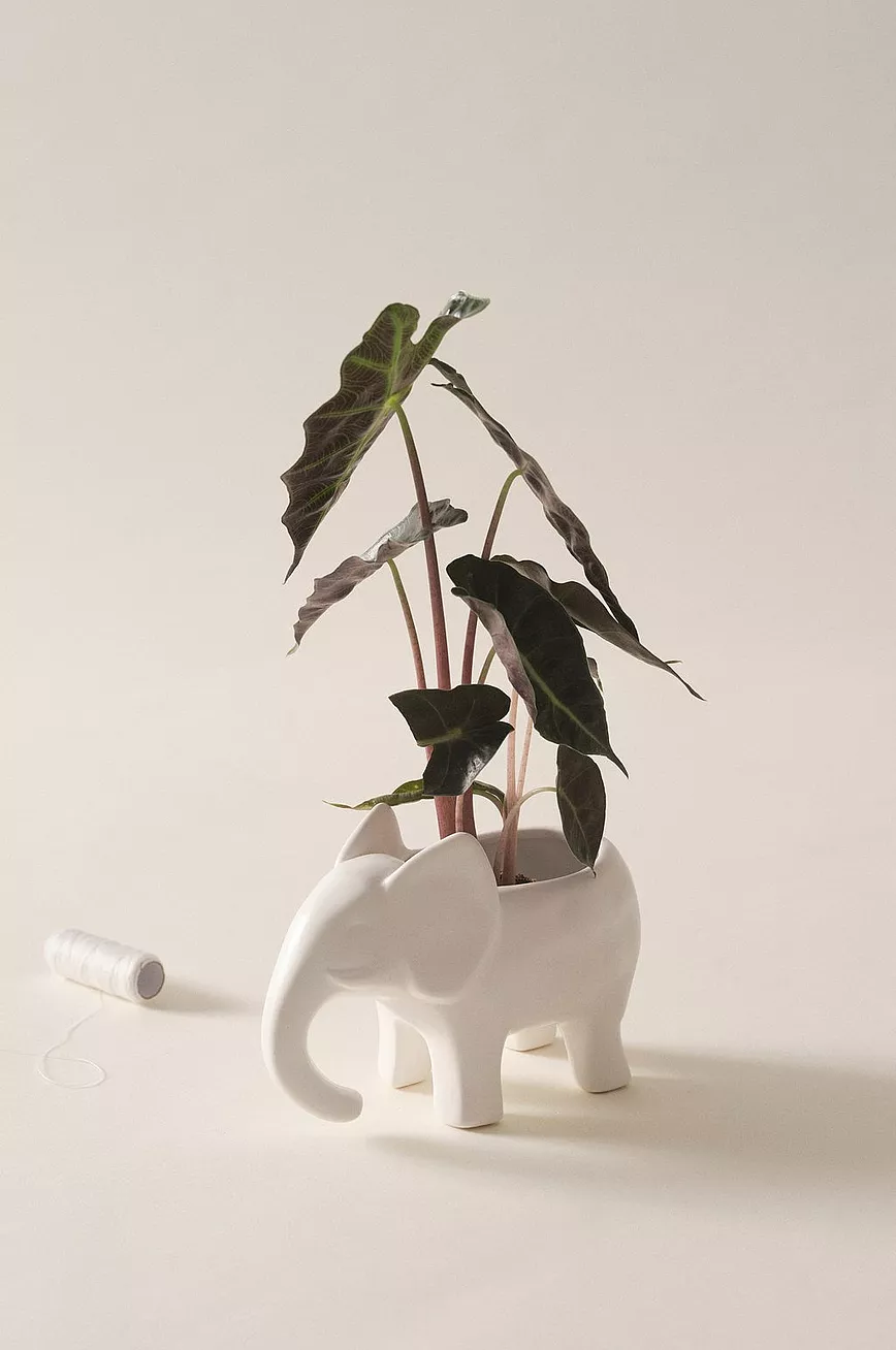 BABS Minikrukke 4 BABS Minikrukke - Bilde 2