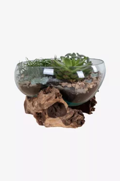 Vanndråpe San Marino -Hjemmedekorasjon Salg 2024 b 1507