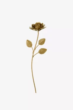 ROSENDAL Dekorasjonsrose