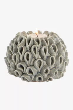 BLOWFISH Telysholder