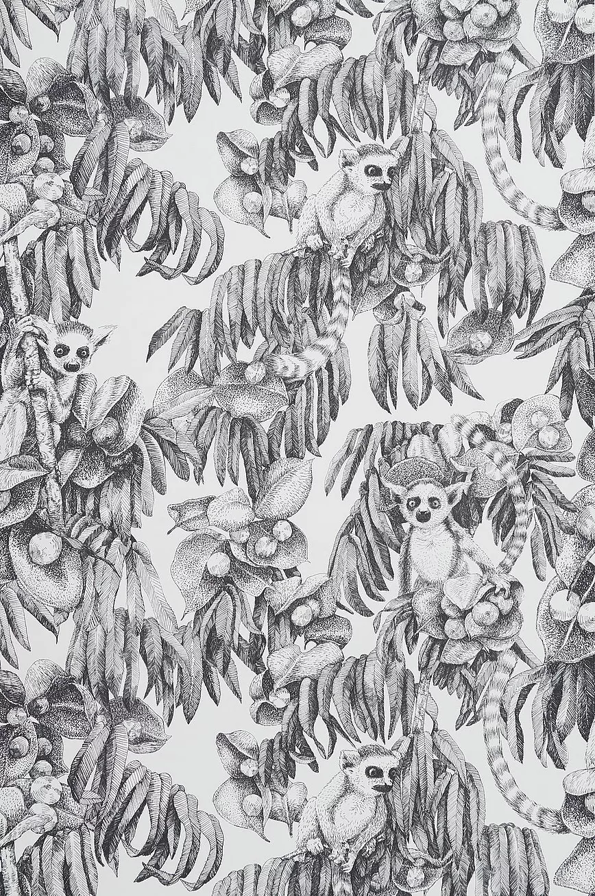 Tapet Lemur 3 Tapet Lemur