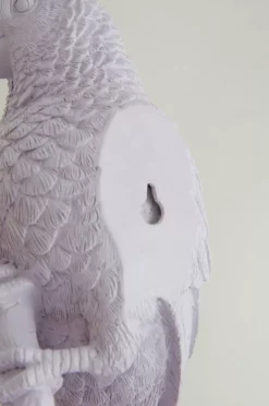 PARROT Veggdekor -Hjemmedekorasjon Salg 2024 b 360