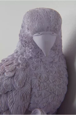 PARROT Veggdekor -Hjemmedekorasjon Salg 2024 b 361