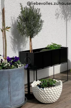 NORAH Dekorskål -Hjemmedekorasjon Salg 2024 b 535