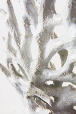 KORALL Dekor - Liten -Hjemmedekorasjon Salg 2024 b 577