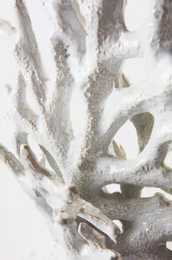 KORALL Dekor - Liten -Hjemmedekorasjon Salg 2024 b 579