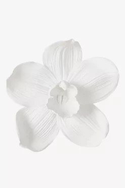 ORCHID Veggdekor - Stor