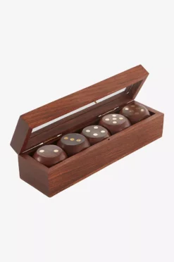 DICE Boks Med 5 Terninger