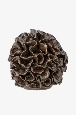 Bloomingville Dekor Delvan