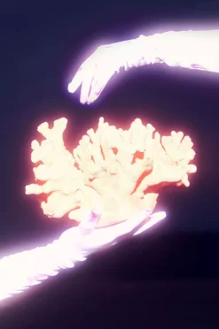 FITZROY Dekor -Hjemmedekorasjon Salg 2024 b 84