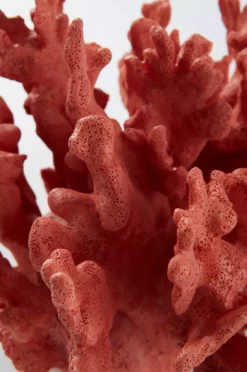 FITZROY Dekor -Hjemmedekorasjon Salg 2024 b 85